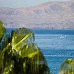 Parque Tropical En Lanzarote